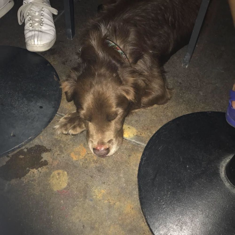 Meet your Posher, Jackson